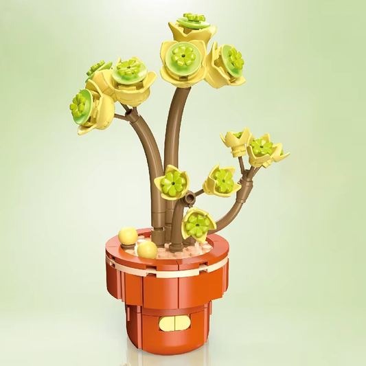 Kit de construcción de plantas con ladrillos - Sedula de Wizardi F07N11-25-16(113)